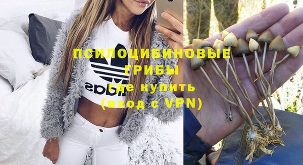 PSILOCYBIN Абинск