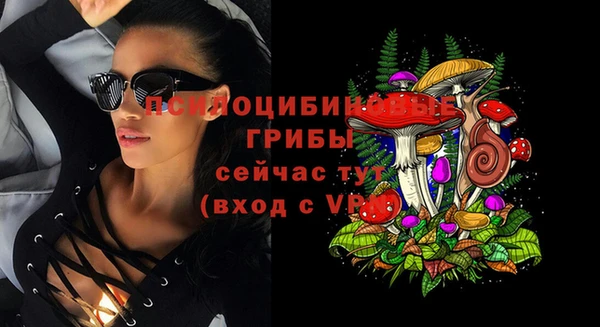 шишки Алзамай