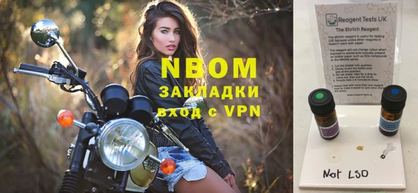 шишки Алзамай
