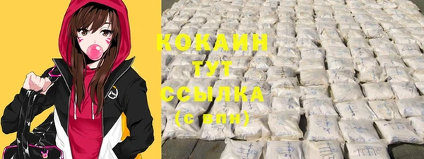 амф Алексин