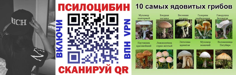 Псилоцибиновые грибы GOLDEN TEACHER  Ивантеевка 