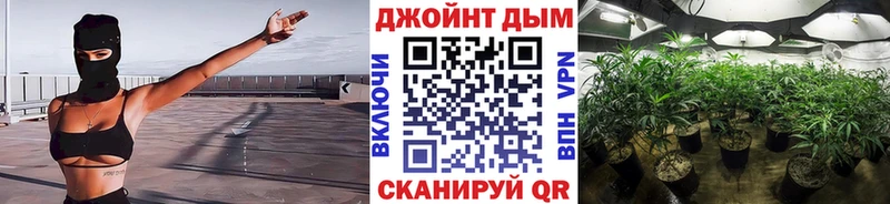 mega   Ивантеевка  Канабис тримм 